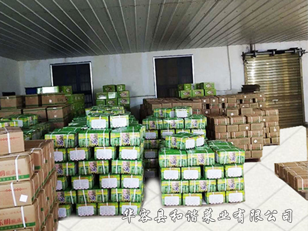 生產(chǎn)廠房一角