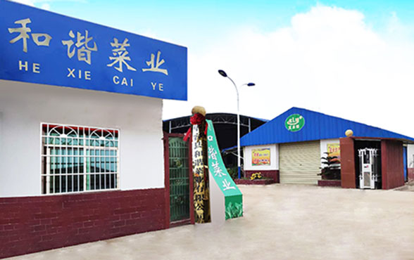 華容縣和諧菜業(yè)有限公司_華容魚酸菜|酸豆角|小米辣